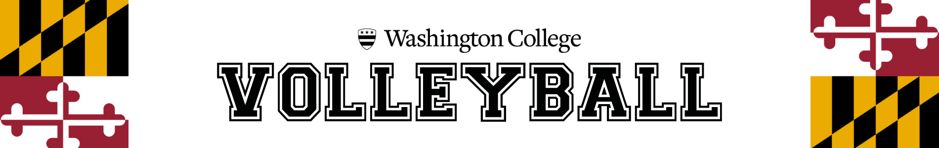 volleyball page header