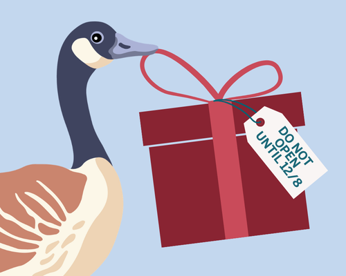 goose with a gift