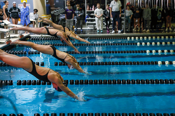 men's and women's swimming photos